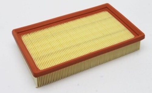 80124 / 80124Gt Oem Genie Air Filter Deutz Fm 1008