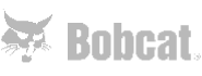 bobcat